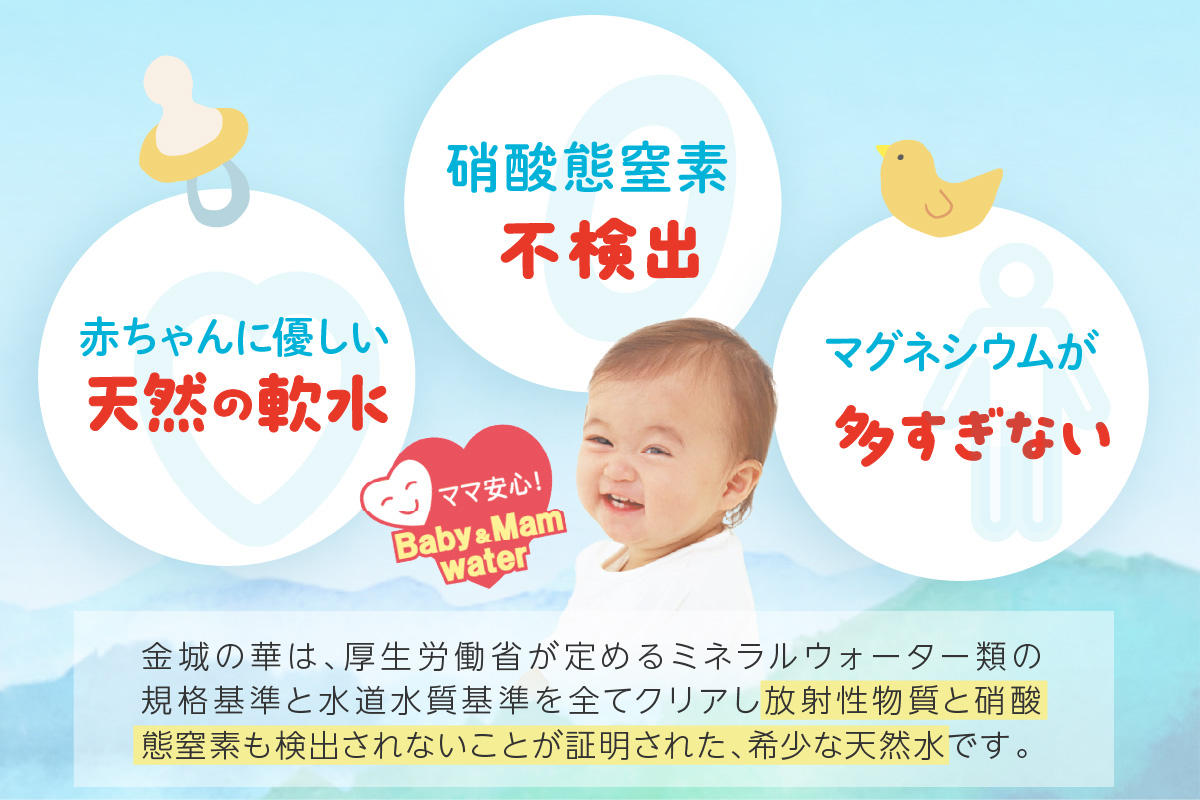 ミネラルウォーター 赤ちゃんのアルカリイオン水500ml 24本入 2箱 〈飲料 ドリンク 水 アルカリイオン水 軟水 備蓄 【043_1840】