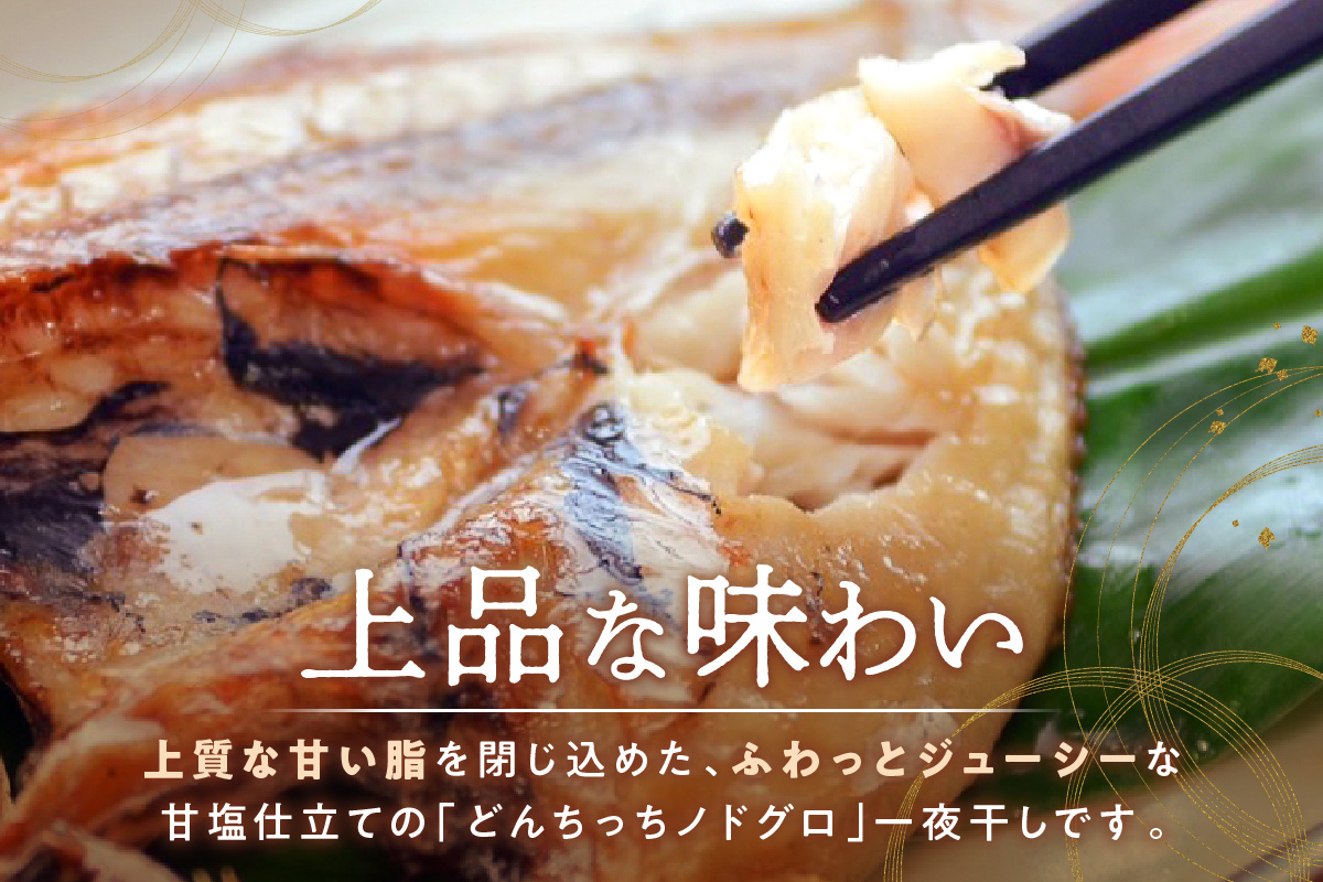 【どんちっちブランド】 のどぐろ一夜干し（170g～200gｘ4枚） 海鮮 魚介類 のどぐろ アカムツ 一夜干し 干物 【136_2001】