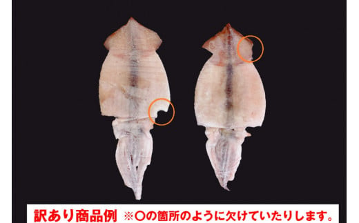 【訳あり】するめいか一夜干し 6～7枚 計900g 魚介類 いか するめいか 一夜干し 加工品 おつまみ 訳あり【136_1988】