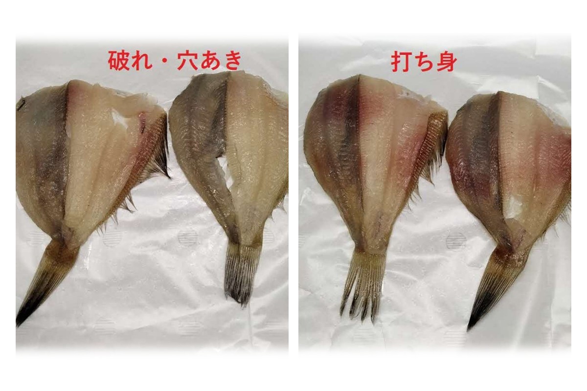 島根県産カレイ使用の温泉かれい　訳あり家庭用400g×4パック 【186_1915】