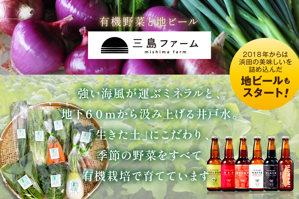 朝採り新鮮！有機野菜セット詰合せ（7～9種類）6回コース【定期便】 定期便 採れたて 産地直送 葉物 有機JAS認証 野菜セット 旬の野菜 野菜【139_1920】