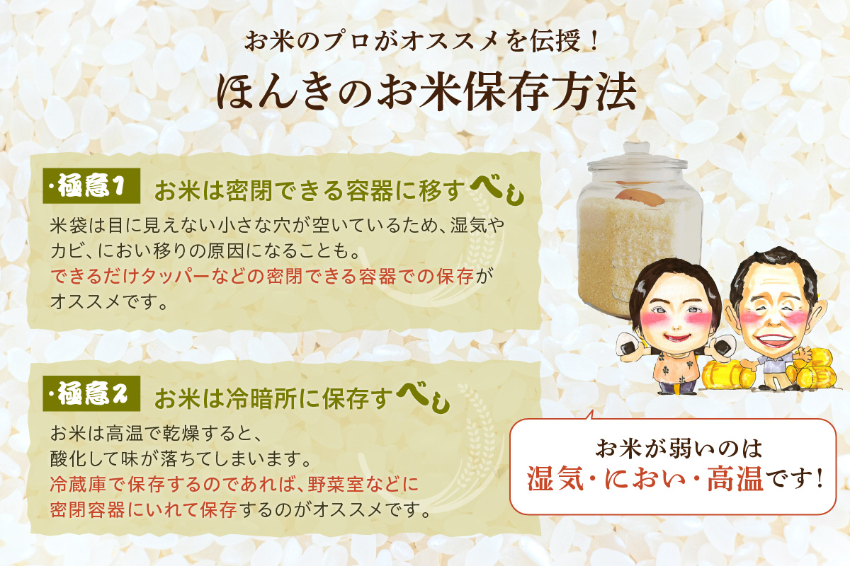 【令和7年産】【定期便】浜田市産きぬむすめ30kg（5kg×6回コース）お米 お取り寄せ 特産 精米 白米 ごはん ご飯 コメ 30kg 30キロ 【197_1956】