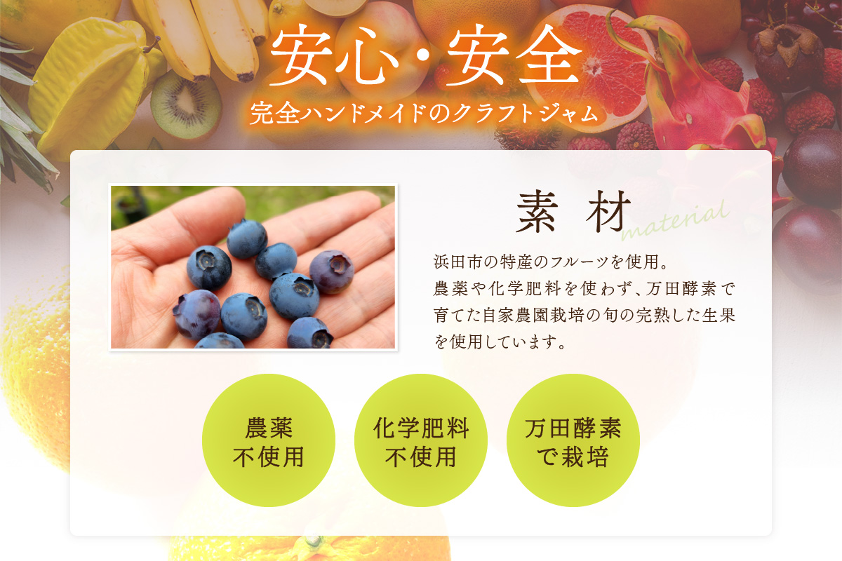 【先行予約】浜田市の季節の旬の果物を使ったクラフトジャムセット【限定】（いちじく・なし・ネーブルオレンジ） 加工品 果物 フルーツ ジャム ギフト 自家製 国産 有機砂糖 いちじく なし ネーブルオレンジ パン ヨーグルト ドレッシング セット 詰め合わせ 【187_1956】