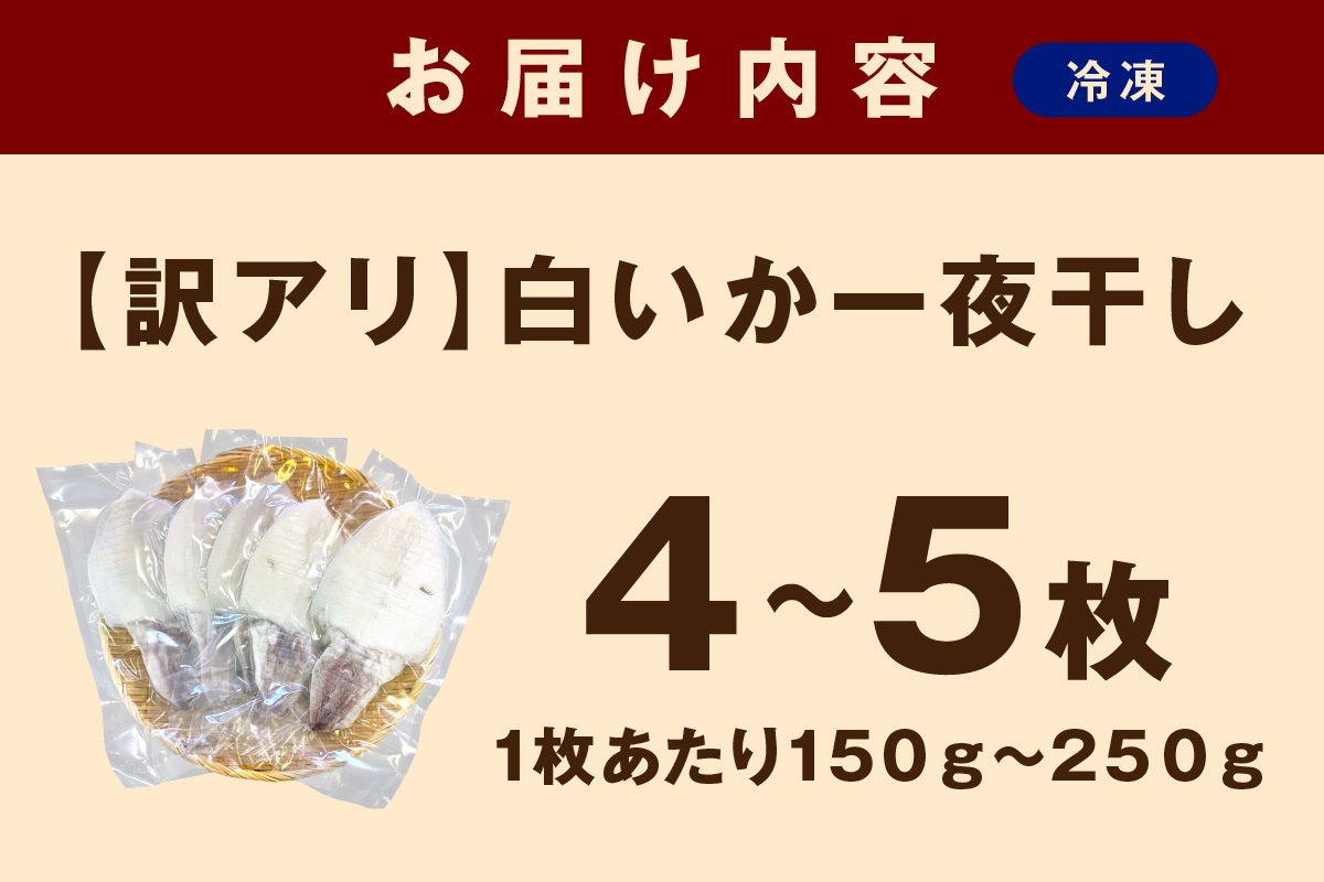 【訳アリ】白いか一夜干し （150g～250gｘ4～5枚） 訳アリ 小分け いか 白いか 個包装 一夜干し 産地直送 おつまみ 【136_2003】