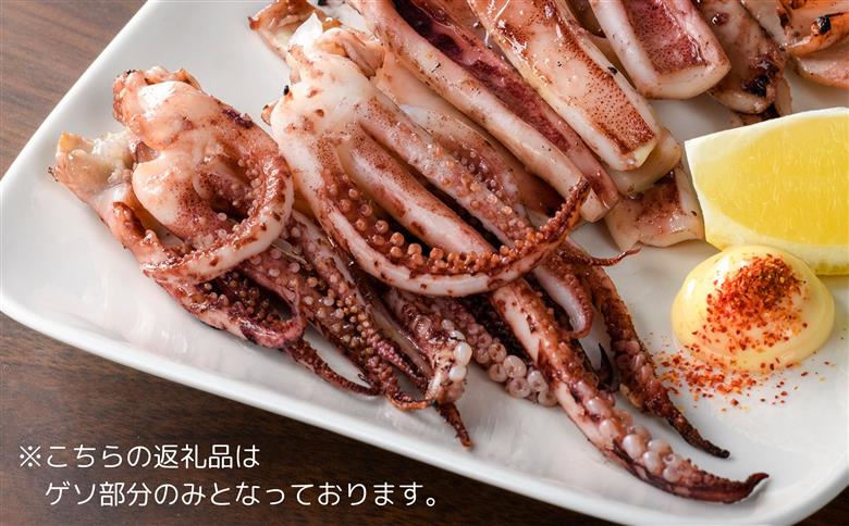 【訳あり】スルメイカ一夜干し”ゲソのみ” 計1kg（200gｘ5袋） 産地直送 干物 人気 大容量 小分け 訳あり 焼き 揚げ物 塩味付 いか ゲソ おつまみ 一夜干し 【005_0140】