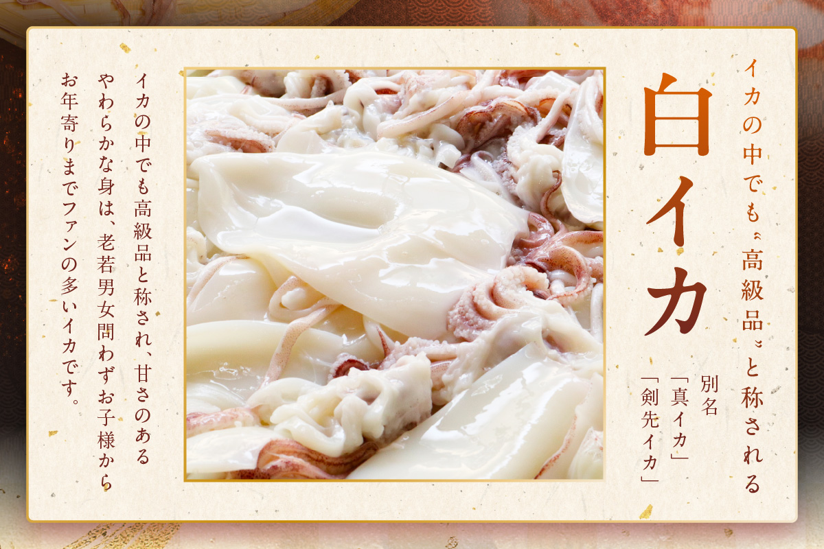 島根県浜田加工 真空包装で鮮度抜群真イカの一夜干し6枚（計400g以上） 【005_0144】