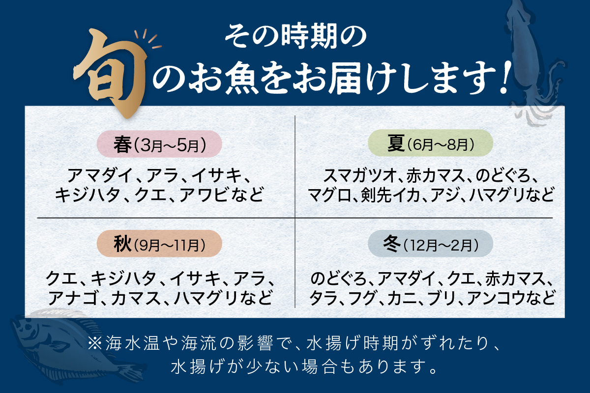 【定期便】どんちっち浜田【極み】鮮魚 2回コース～最高級この男シリーズ～ 海鮮 鮮魚 詰め合わせ セット【006_2051】