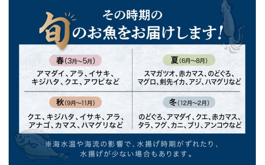 【定期便】どんちっち浜田【極上】の鮮魚 15回～最高級この男シリーズ～ 【006_2053】