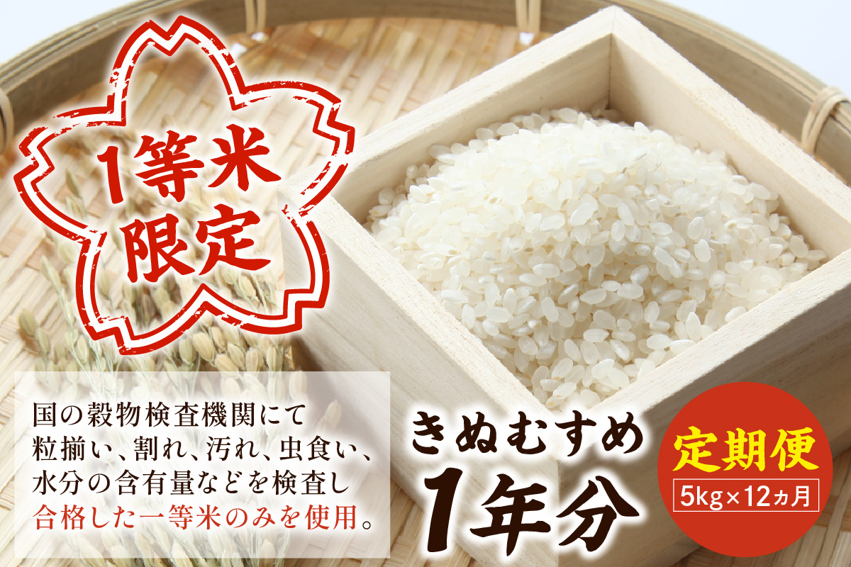 【令和7年産】浜田市産きぬむすめ 1年分 60kg 12ヶ月（5kg×12回コース）【定期便】 おいしさ自慢のお米 お取り寄せ 特産 お米 精米 白米 ごはん ご飯 コメ 新生活 応援 準備 【197_1951】