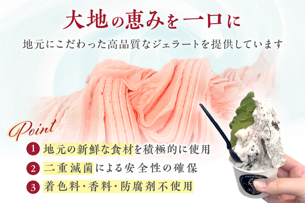 ジェラートセット おやつ お菓子 デザート スイーツ アイス ジェラート 冷菓 ギフト 贈り物 ご褒美 ひんやりグルメ お取り寄せ 【003_0642】