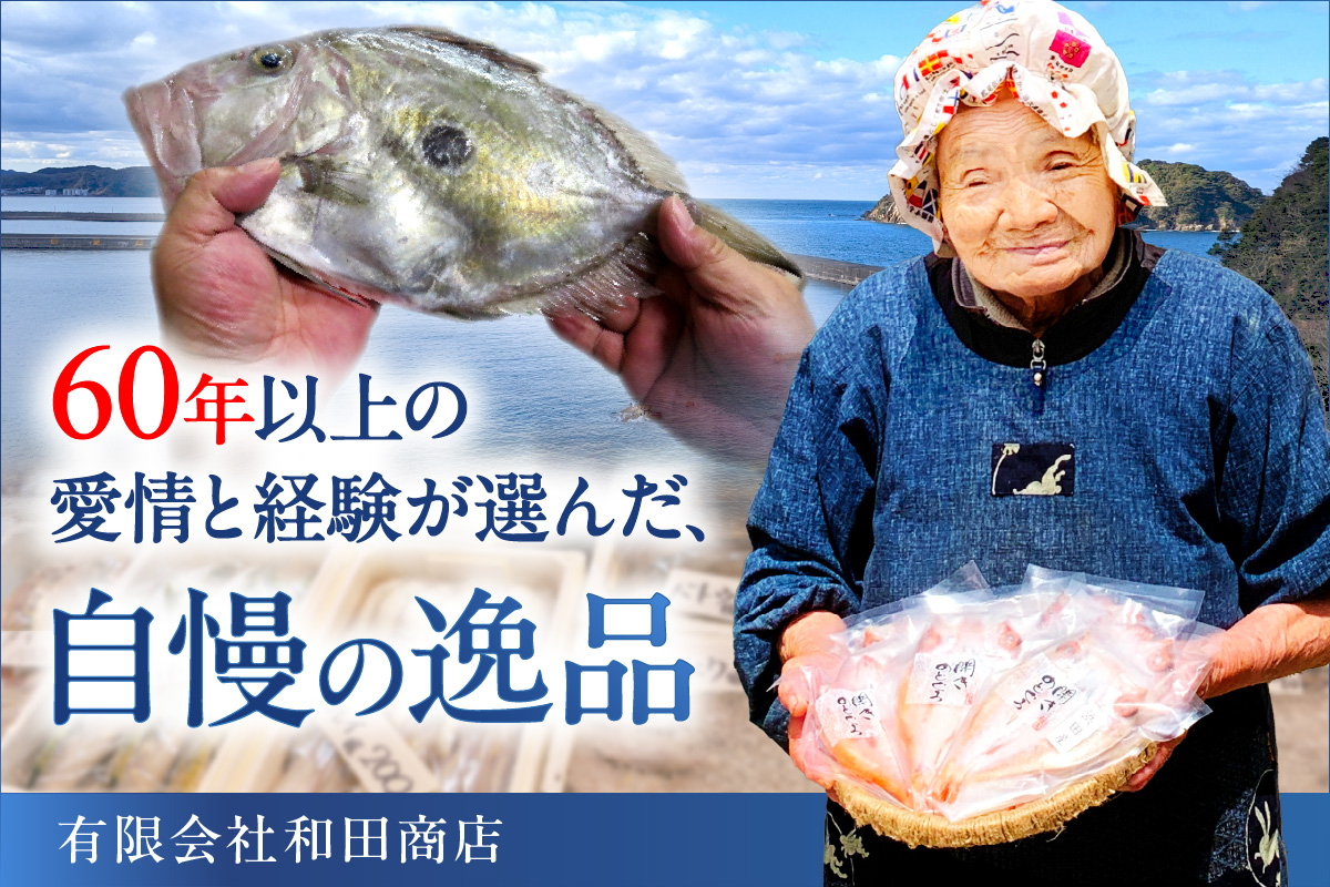 山陰浜田港 水揚げされた大きめ人気干物セット 魚介類 魚貝類 魚介 魚 干物 干もの 一夜干し 干物セット セット 加工品 【025_0426】