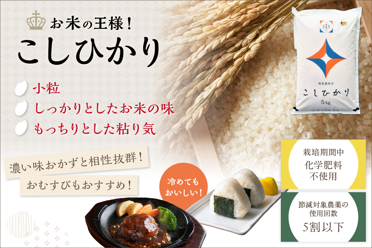 【令和7年産】弥栄町産特別栽培米「秘境奥島根弥栄」こしひかり5kg 米 お米 精米 白米 ごはん コシヒカリ 5キロ 特別栽培米 お取り寄せ 特産 新生活 応援 準備 【090_1882】