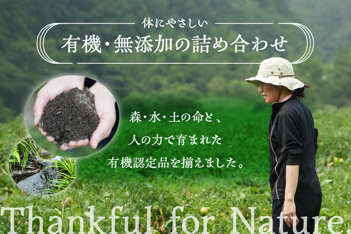 【テレビで紹介されました】有機健康調味料セット やさか味噌 やさか 調味料 セット 詰め合わせ 味噌 白味噌 トマトジュース 甘酒 塩麹 発酵食品 夏バテ防止 疲労回復 敬老の日 【041_1193】