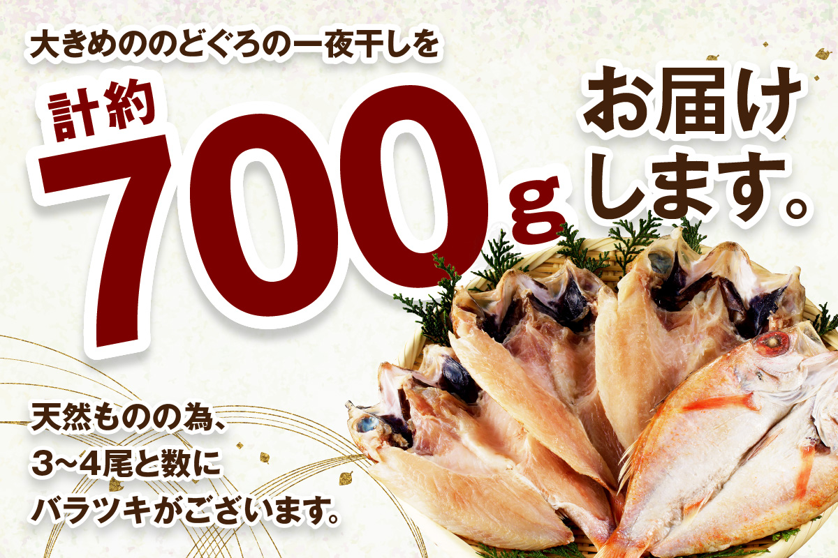 山陰浜田 香住屋のこだわり干物「大きめのどぐろ一夜干し」（3～4尾） 魚介類 のどぐろ 一夜干し 干物 ふるさと納税 のどくろ セット 【024_1983】