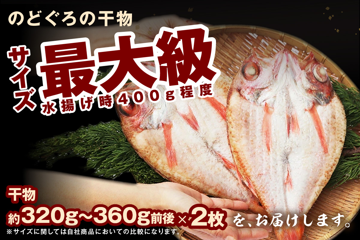 のどぐろ干物最大級2枚（30cm 計680g前後）のどぐろ本来の旨味に出会う渾身の干物 河野乾魚店 魚介類 魚貝類 のどぐろ 干物 干もの 一夜干し 2枚 お祝い 【019_1943】