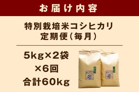 【定期便】【令和6年産】浜田市金城町産コシヒカリ「おぐに米」10kg定期便（6回コース）＜10月下旬以降の発送予定＞ 定期便 10キロ 6回 米 お米 こしひかり 白米 特産品 お取り寄せ 精米 小分け 【071_2066】