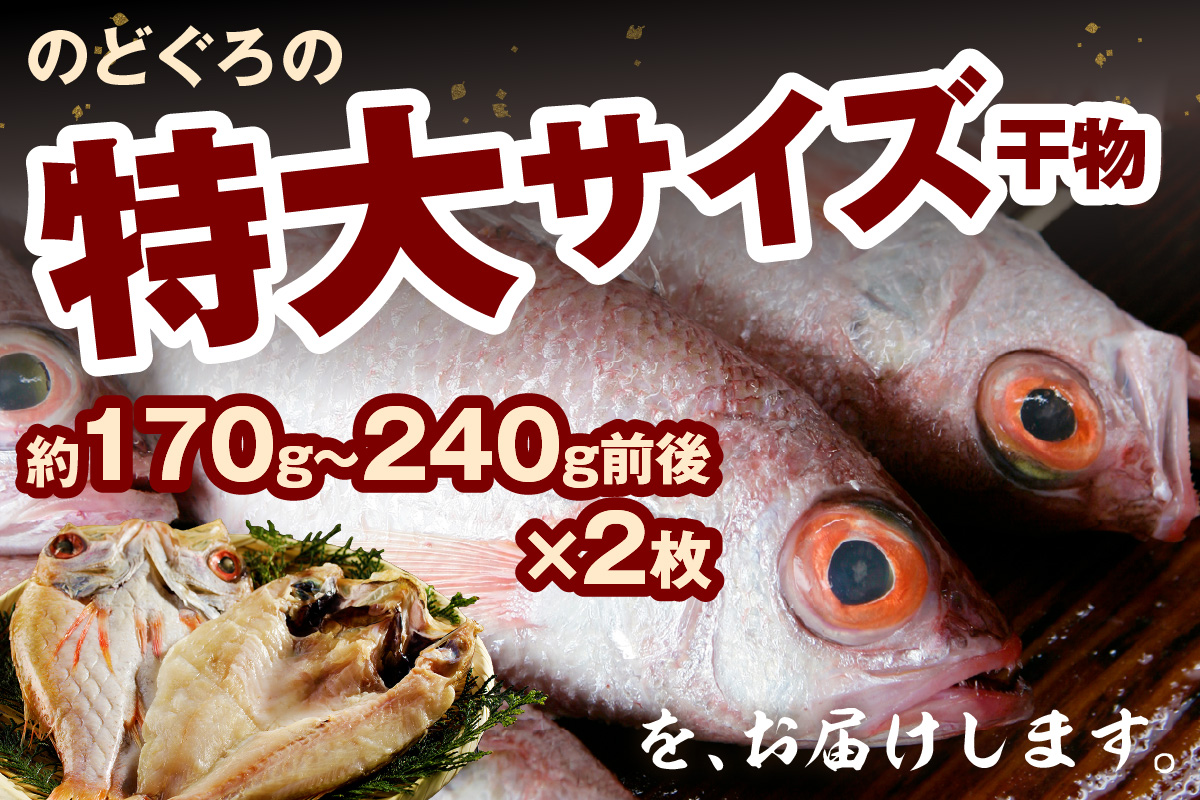 のどぐろ干物 特大2枚（計400g前後）のどぐろ本来の旨味に出会う渾身の干物 河野乾魚店 魚介類 魚貝類 干物 干もの 一夜干し 新鮮 厳選 海鮮 個包装 【019_1948】