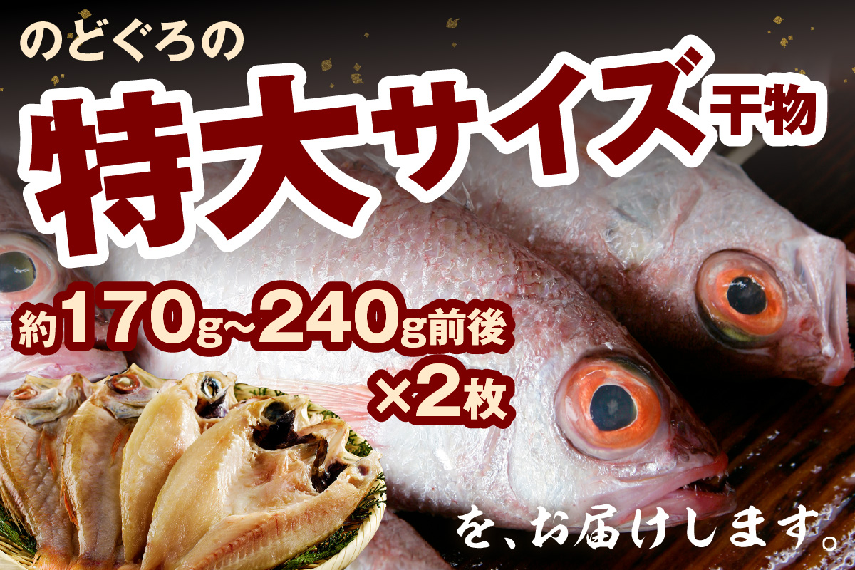 のどぐろ干物 特大3～4枚（計700g前後）＜9月中旬以降発送＞ のどぐろ本来の旨味に出会う渾身の干物 河野乾魚店 魚介類 魚貝類 干物 干もの 一夜干し お祝い お取り寄せ グルメ 【019_1949】