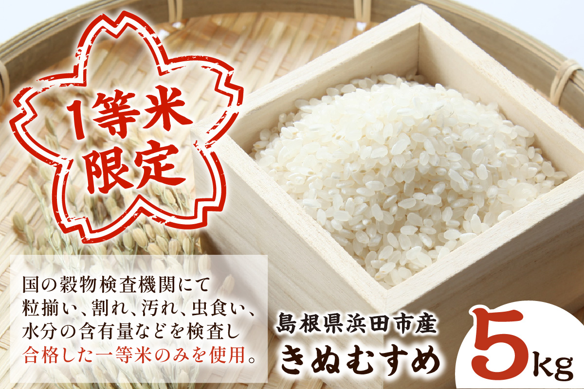 【令和7年産】浜田市産きぬむすめ5kg 白米 玄米 選択可 お取り寄せ 特産 お米 精米 ごはん ご飯 コメ 新生活 応援 準備 5キロ 【197_1958】