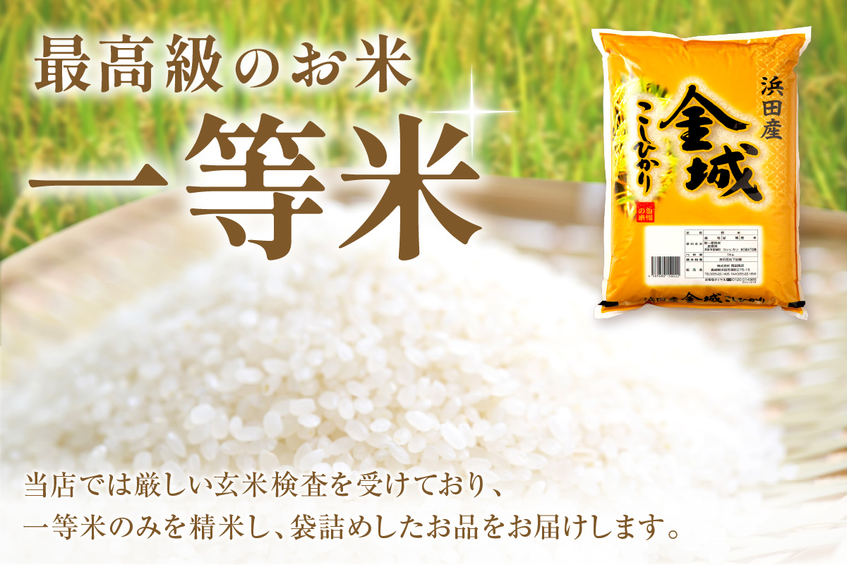 【令和7年産】浜田市金城町産こしひかり５Ｋｇ コシヒカリ こしひかり 米 お米 精米 白米 玄米 5キロ 一等米 【058_1852】