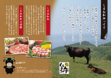 神話の国島根が誇る逸品 しまね和牛 ももサイコロステーキ 希少部位 肉 牛肉 和牛 国産牛 モモ肉 ステーキ サイコロステーキ 黒毛和牛 【057_1311】