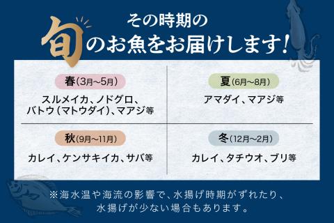 【定期便】この男、極める！～浜田の旨い鮮魚12か月毎月お届けコース～ ふるさと納税 定期便 鮮魚 魚介類 魚貝類 お楽しみ定期便 【006_2044】
