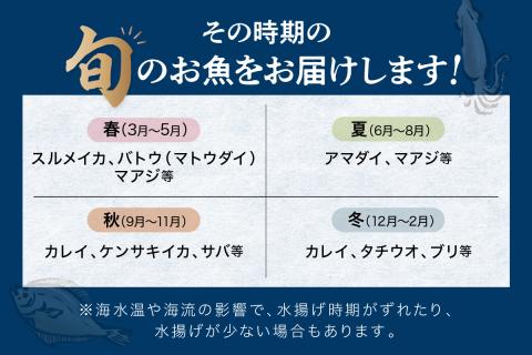 この男に任せてみませんか～浜田の旨い鮮魚直送便～ 海鮮 鮮魚 詰め合わせ セット おまかせ 人気 お取り寄せ 【006_2043】