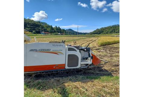 【令和7年度産】浜田市旭町産コシヒカリ～良縁・縁呼米～10キロ＜2025年10月15日より発送予定＞ こしひかり お米 白米 玄米 選べる 常温 【166_1761】