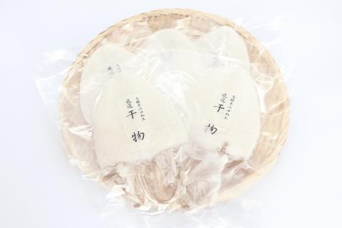 島根県産剣先イカ一夜干し 計600g（4～6枚）個包装・真空袋・ギフト 真空 個包装 干物 白イカ 保存料不使用 大容量 剣先イカ 一夜干し 【005_0119】