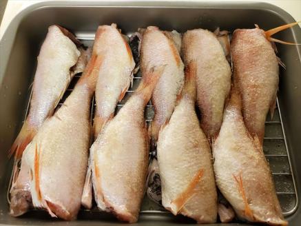 訳あり 魚 魚介類 旬 のどぐろ煮付け用 特大サイズ 2匹【多田商店】【035_1432】