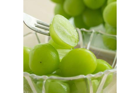 【先行予約】根域制限シャインマスカット 約0.9kg 2～3房《9月中旬頃から発送》 果物 シャインマスカット 【183_1881】