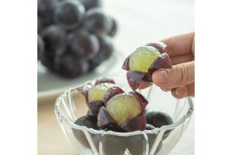 【先行予約】種無しピオーネ 約0.9kg 2～3房 《8月下旬頃から発送》果物 ピオーネ ぶどう 【183_1883】