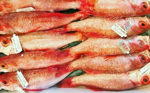 干さない干物極上のどぐろ Eセット 魚介類 魚貝類 干物 干もの 一夜干し 御中元 御歳暮 ギフト 新鮮 厳選 海鮮 個包装 【097_0735】