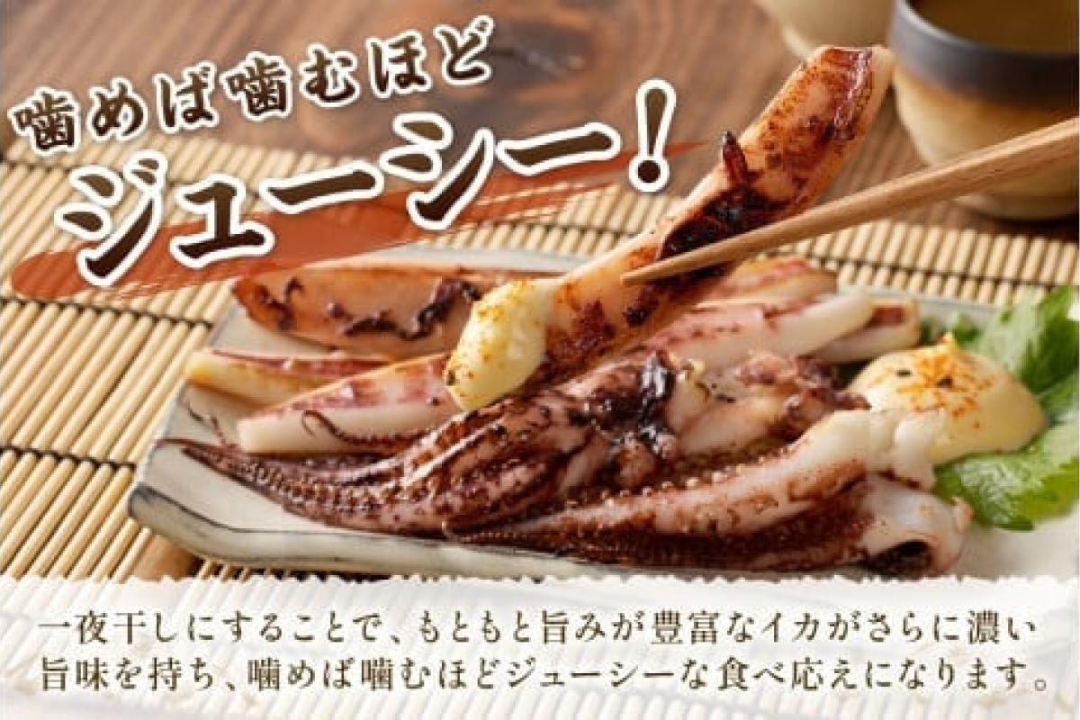 島根県産スルメイカ一夜干しカット済600g （ゲソ200g付き） 産地直送 干物 一夜干し イカ 人気 大容量 小分け 国産 【005_0149】