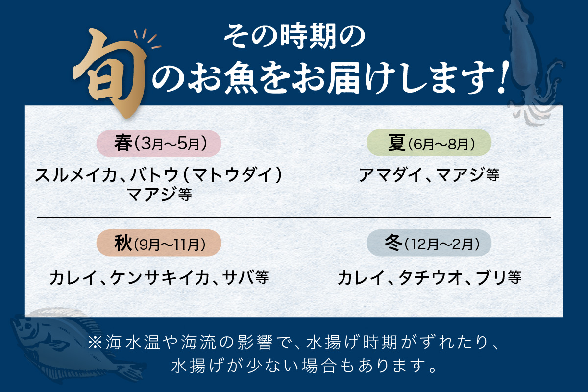 この男にお任せ！浜田の厳選鮮魚お試し便（下処理なし） 【006_2054】
