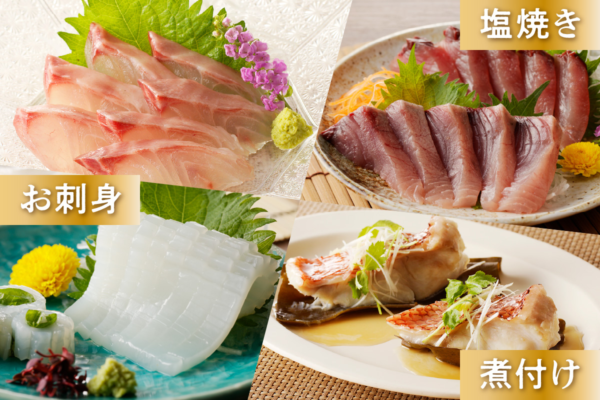 この男にお任せ！～浜田の旨い鮮魚四季のお届けコース～ 【006_2056】