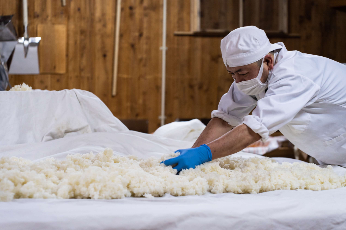 環日本海 特別純米いと美しセット 酒 日本酒 純米酒 いと美し いとうまし 【021_2062】