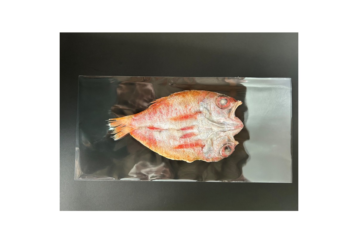 【本物の目利き厳選！】のどぐろ干物（計1kg・8尾セット） 【025_0441】