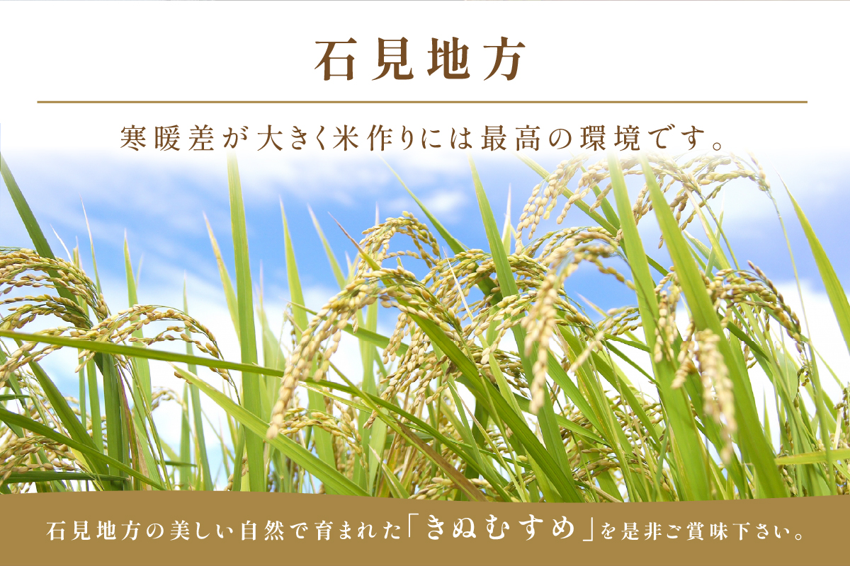 石見地方産きぬむすめ　2ｋｇ 【058_1842】