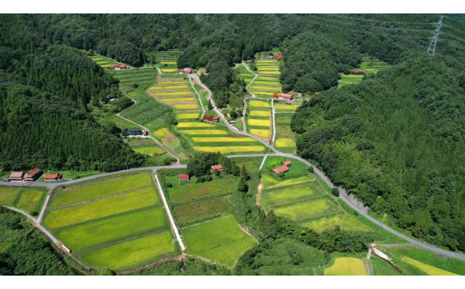 【令和6年産】浜田・旭のうまいもん「坂本」（きぬむすめ）5kg×2袋＜10月21日から発送＞ 【118_1166】