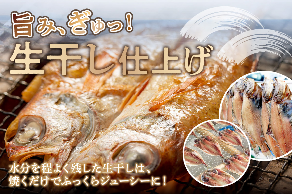 極上!!干物屋推薦 厳選干物 訳あり商品が入ってます!! 魚介類 セット 干物 乾物 ふるさと納税 訳あり 海の幸 魚介類 魚貝類 干物 一夜干し 干物セット【033_1776】