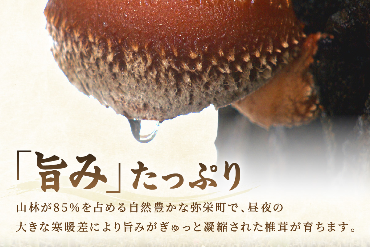 自然豊かな浜田市弥栄町で原木栽培した「干し椎茸どんこセット」 きのこ 椎茸 どんこ 干ししいたけ 【041_1198】