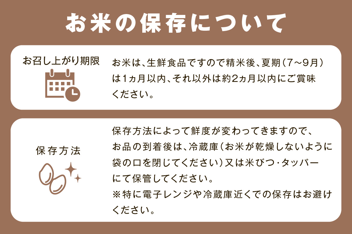 【令和6年産】無洗米 石見産きぬむすめ 5kg×2袋 米 白米 精米 応援 準備 新生活応援 お取り寄せ 特産 【058_1825】