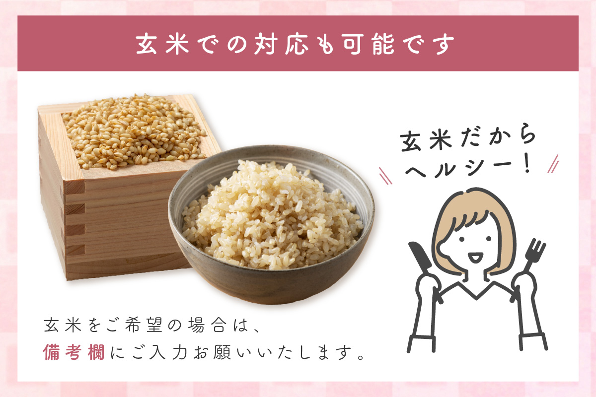 【令和7年産】【新米先行予約】浜田市金城町産こしひかり（２ｋｇ×１袋）・きぬむすめ（２ｋｇ×１袋）＜2025年11月より配送開始＞ 米 お米 精米 白米 コシヒカリ きぬむすめ ごはん 新生活 応援 準備 食べ比べ セット 【058_1827】