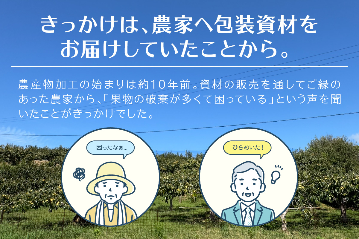浜田市特産セミドライミックス”宝石の森”とカット干し柿 ドライフルーツ 干柿 柿 梨 無花果 いちじく セット おやつ ホワイトデー お返し 【032_2080】