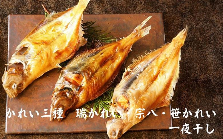 【定期便】山陰浜田港あけぼの丸が贈る高級干物四季の味 極（年6回奇数月） 定期便 6回 魚介類 魚貝類 ノドグロ アカムツ 干物 干もの 一夜干し 干物セット 【146_2030】
