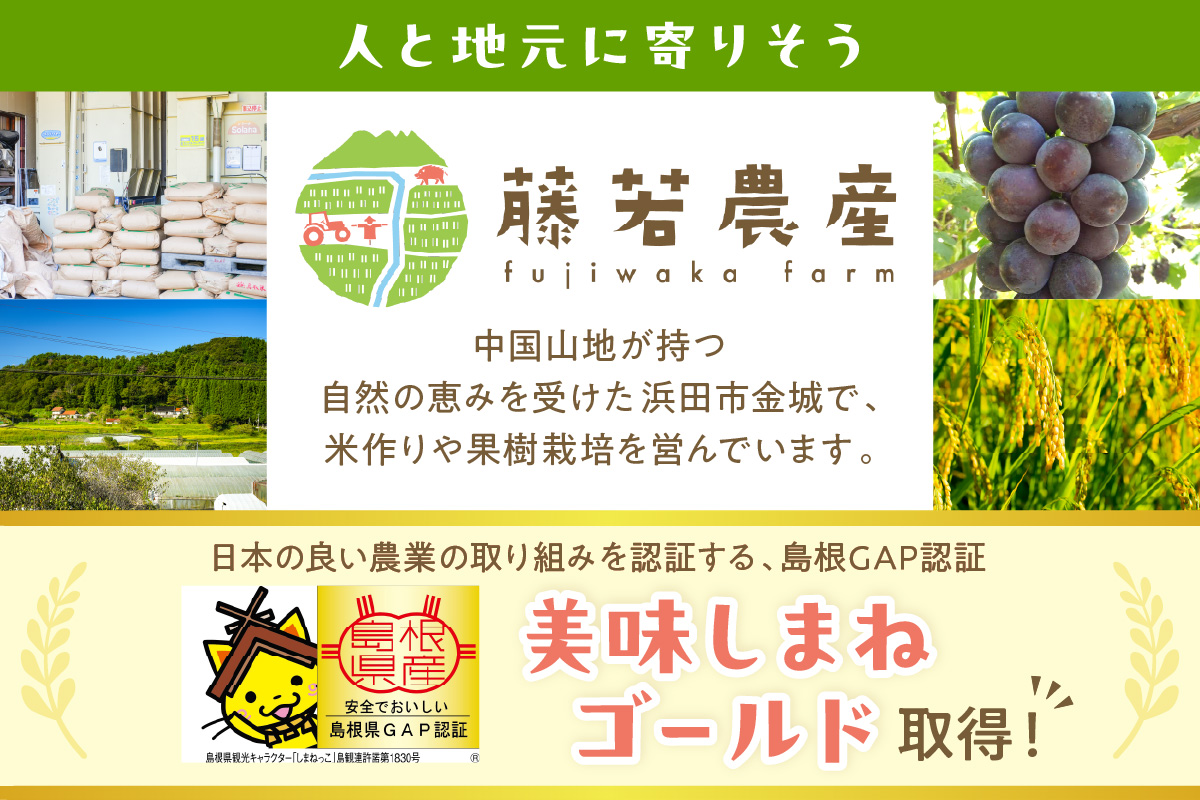 【令和6年産】浜田市金城町産の美味しいコシヒカリ100％【おぐに米】10kg 10キロ 米 おこめ コシヒカリ 白米 精米 特産品 ごはん お取り寄せ 小分け 【071_2065】