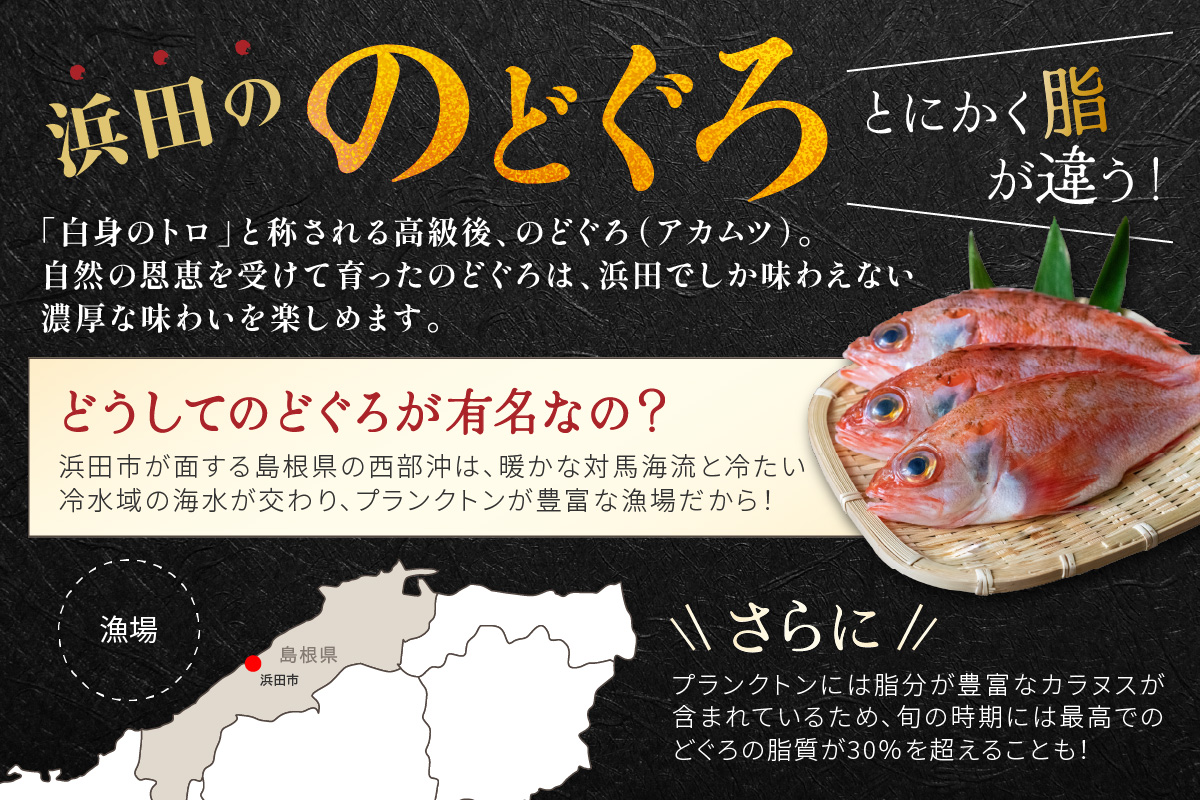 山陰浜田極味 のどぐろ一夜干し（大）5枚入り のどぐろ 魚介 おかず おつまみ 個包装 贈答 父の日 お中元 お歳暮 のどぐろ 干物 【164_1845】