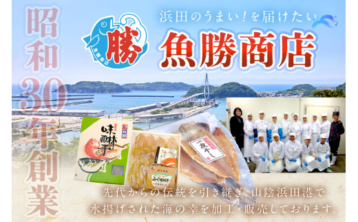 【訳あり】するめいか一夜干し 6～7枚 計900g 魚介類 いか するめいか 一夜干し 加工品 おつまみ 訳あり【136_1988】