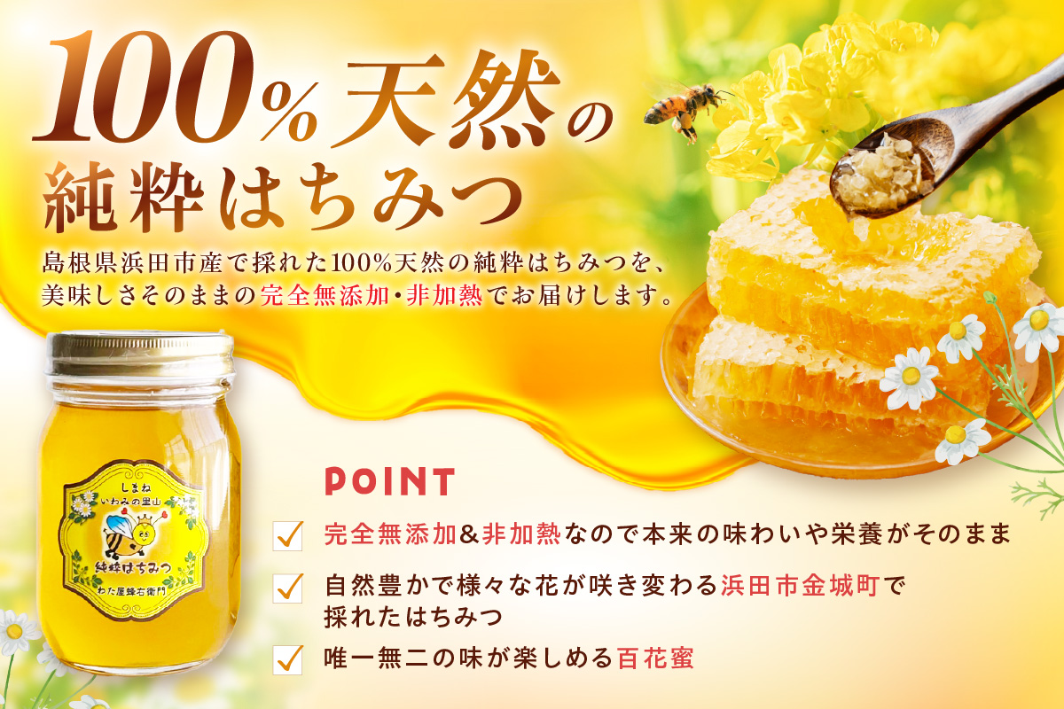 水のきれいな浜田市金城町産「いわみの里山 純粋はちみつ」500g×2本【184_1904】
